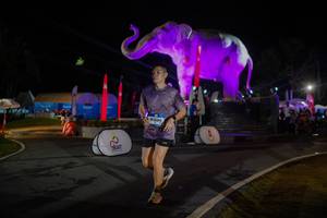 BIB: 
                            <button type="button" onclick="openModal(26552085)" class="btn btn-primary btn-sm float-right btn-popup" data-toggle="modal" data-target=".modal-high-quality">
                        <i class="fas fa-shopping-cart"></i> Add to Cart
                    </button>
                                            <button type="button" onclick="isThisMe(26552085, true)" class="btn btn-success btn-sm float-right btn-popup btn-isme hidden" data-toggle="tooltip" data-placement="bottom" title="นี่คือรูปของคุณใช่ไหม คลิกที่นี่เพื่อเอาเข้าอัลบั้ม">
                        <i class="fas fa-plus"></i> Add to album
                    </button>
                    <button type="button" onclick="isThisMe(26552085, false)" class="btn btn-warning btn-sm float-right btn-popup btn-isnotme hidden">
                        <i class="fas fa-ban"></i> Remove from album
                    </button>